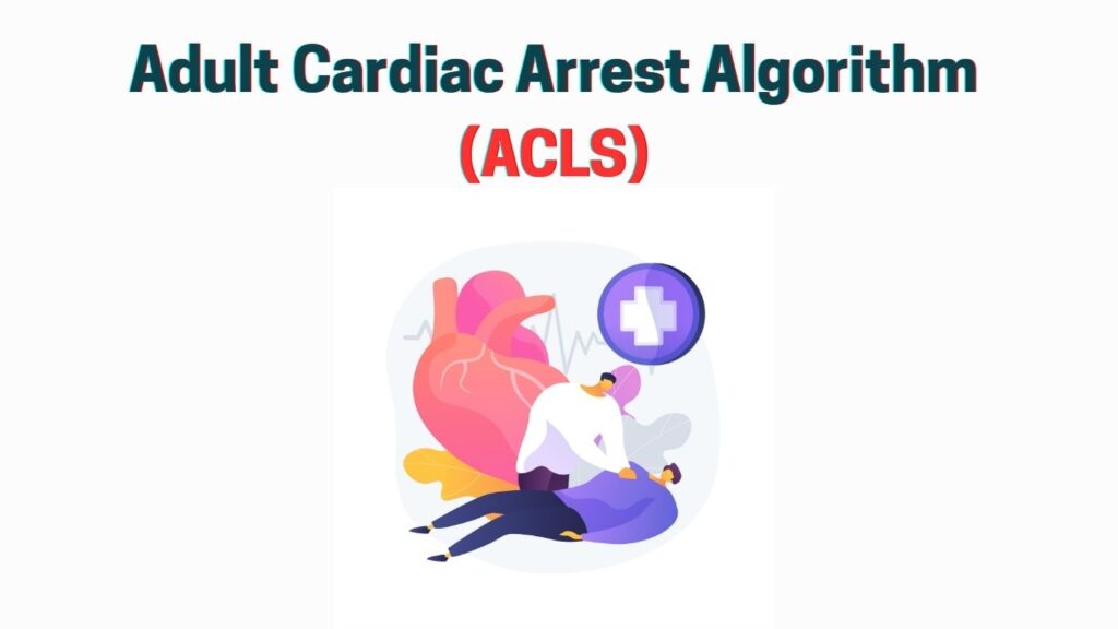 Adult Cardiac Arrest Algorithm (ACLS)