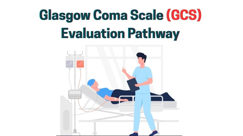 Glasgow Coma Scale (GCS) Evaluation Pathway