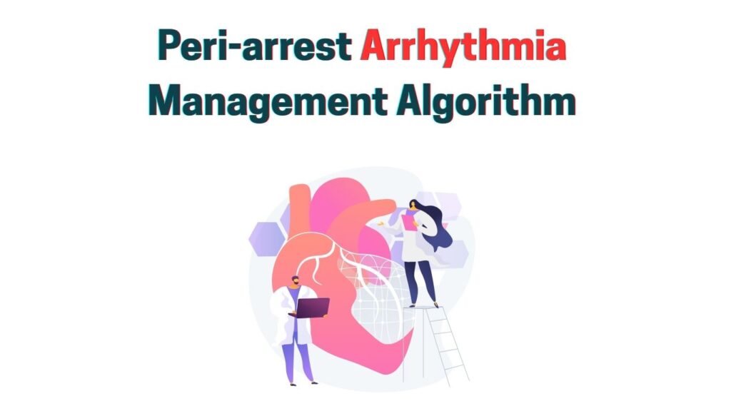 Peri-arrest Arrhythmia Management Algorithm